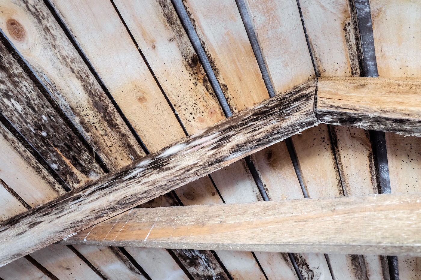 What Causes Attic Condensation And How To Fix It 